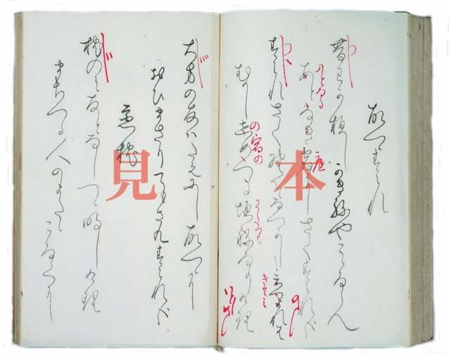 樋口一葉日記岩波書店影印版上下